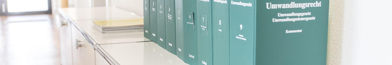 Unternehmensumstrukturierungen und Unternehmensumwandlungen (Rechtsformwechsel, Spaltungen, Verschmelzungen)